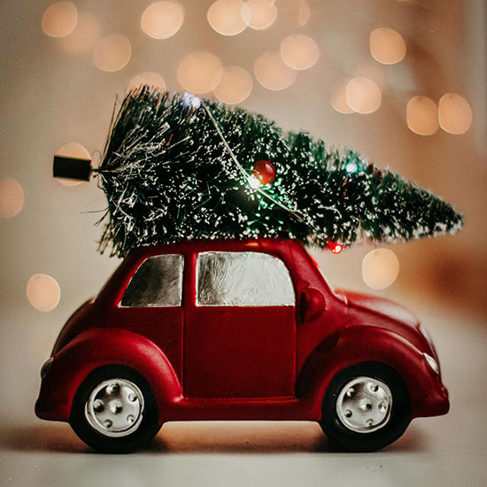 Поздравляем с Новым-2026 годом!