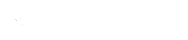 SMITH&WESSON (США)