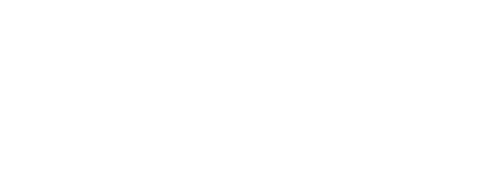 BROGGI (Италия)